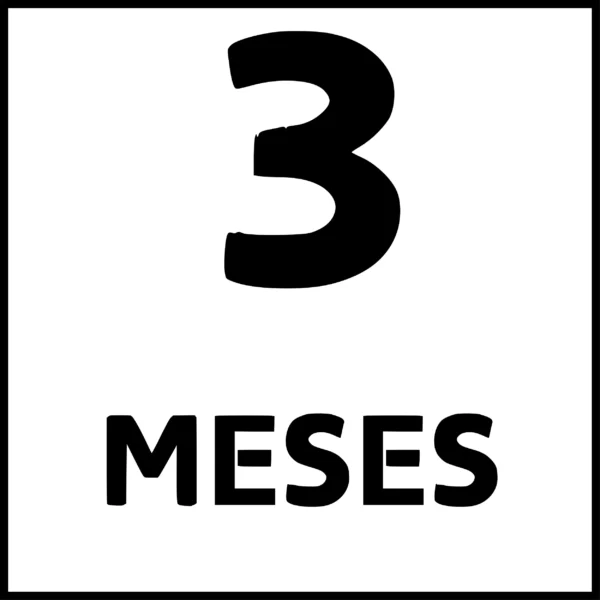 3 meses